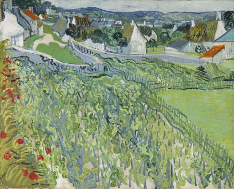 Van Gogh Vineyards